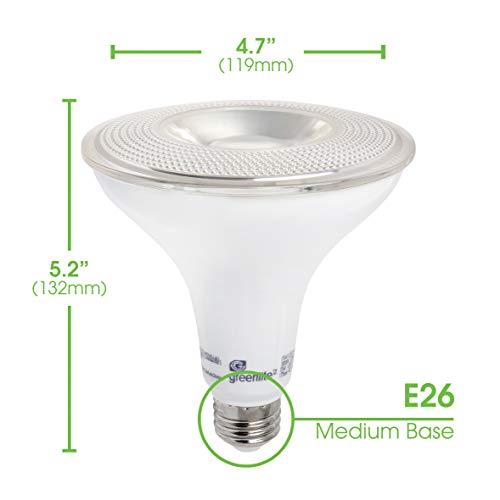 Greenlite LED Dimmable Flood Light Bulb - 15W (120W Equivalent)